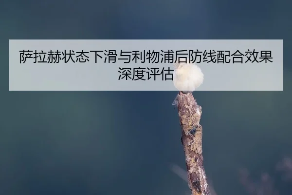 sa-la-he-zhuang-tai-xia-hua-yu-li-wu-pu-hou-fang-xian-pei-he-xiao-guo-shen-du-ping-gu-2-527.jpg